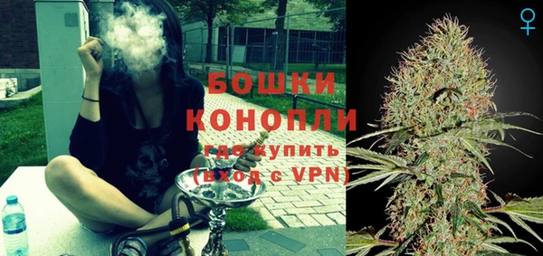 индика Бежецк